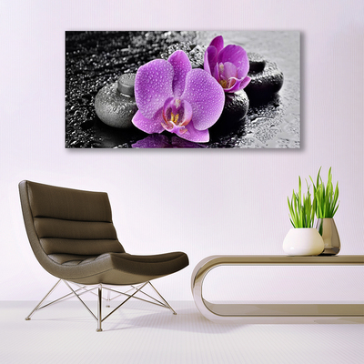 Obraz na skle Orchidej Květiny Kameny Zen