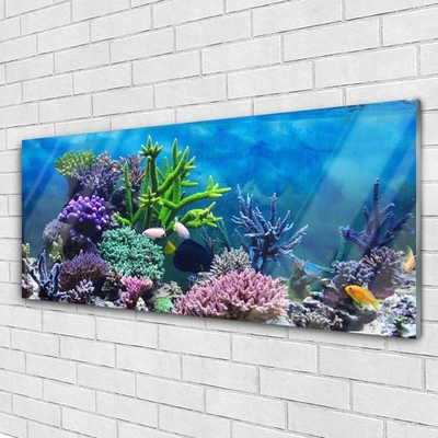 Obraz na skle Akvárium Rybičky Pod Vodou