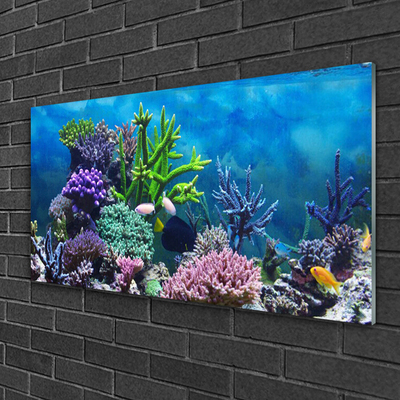 Obraz na skle Akvárium Rybičky Pod Vodou