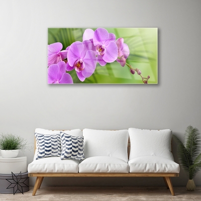 Obraz na skle Vstavač Orchidej Květiny