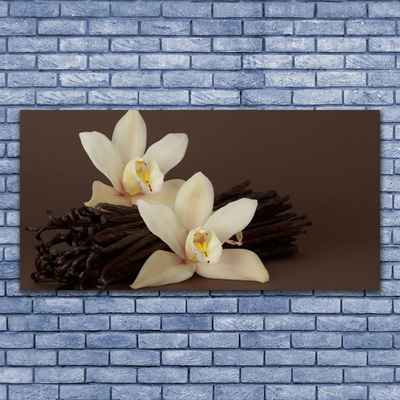 Obraz na skle Květy Vanilky do Kuchyně