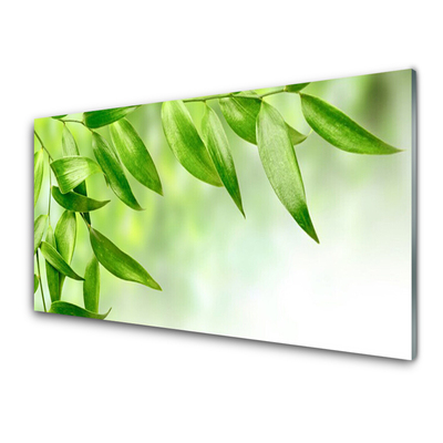 Obraz na skle Zelené Listy Příroda