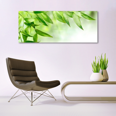 Obraz na skle Zelené Listy Příroda