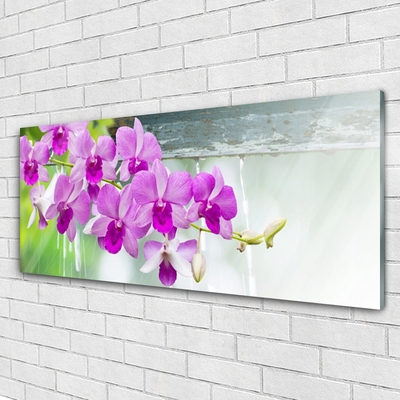 Obraz na skle Orchideje Kapky Příroda