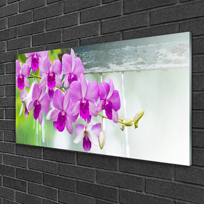 Obraz na skle Orchideje Kapky Příroda