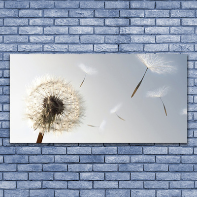 Obraz na skle Pampeliška Květiny Příroda