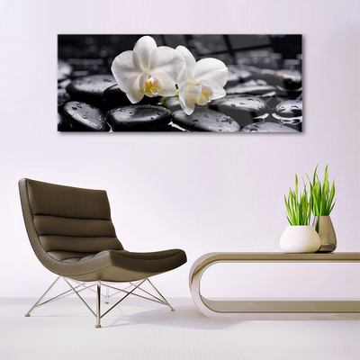 Obraz na skle Kameny Zen Bílá Orchidej