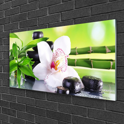 Obraz na skle Orchidej Kameny Zen Bambus