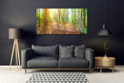 Obraz na skle Slunce Příroda Lesní Stezka