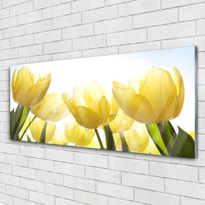 Obraz na skle Tulipány Květiny Paprsky