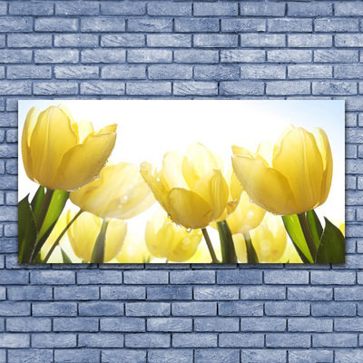 Obraz na skle Tulipány Květiny Paprsky