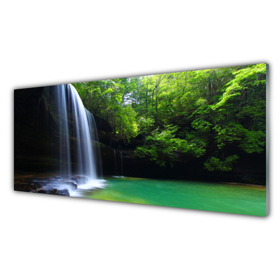 Obraz na skle Vodopád Příroda Les Jezero