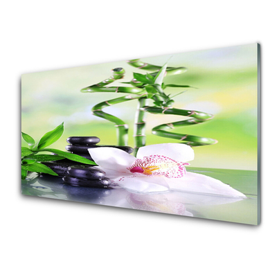 Obraz na skle Orchidej Bambus Zen Lázně