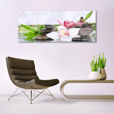 Obraz na skle Orchidej Kameny Bambus