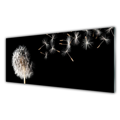 Obraz na skle Pampeliška Květ Kapky