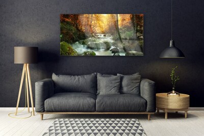 Obraz na skle Vodopád Příroda Les Podzim