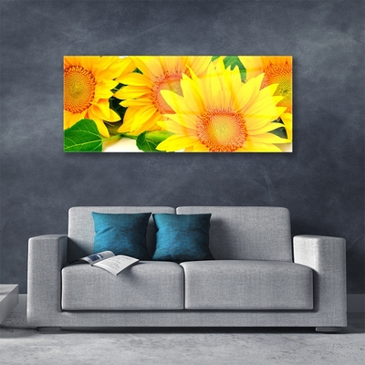 Obraz na skle Slunečnice Květ Příroda