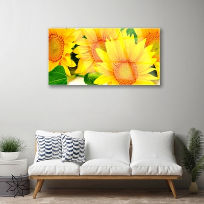 Obraz na skle Slunečnice Květ Příroda