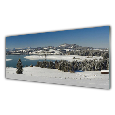 Obraz na skle Jezero Sníh Krajina Hory