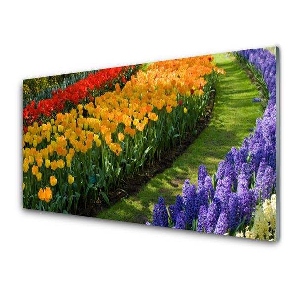 Obraz na skle Květiny Zahrada Tulipány