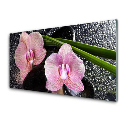 Obraz na skle Květiny Orchidej Kameny Zen