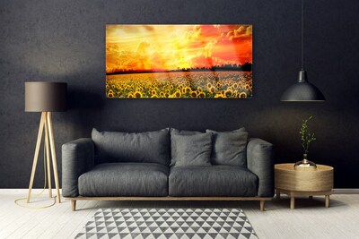 Obraz na skle Louka Slunečnice Květiny