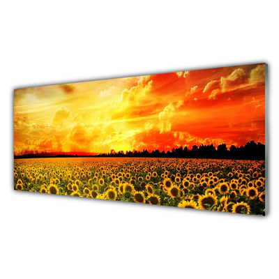 Obraz na skle Louka Slunečnice Květiny