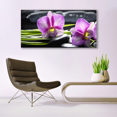 Obraz na skle Orchidej Kameny Zen Lázně