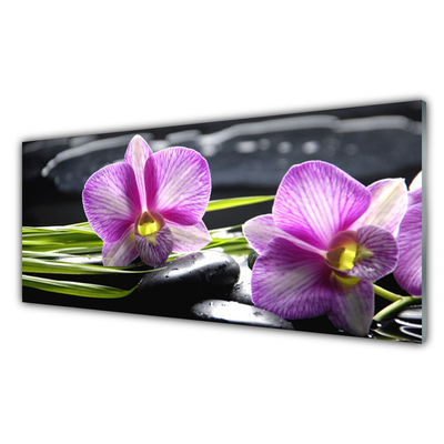Obraz na skle Orchidej Kameny Zen Lázně