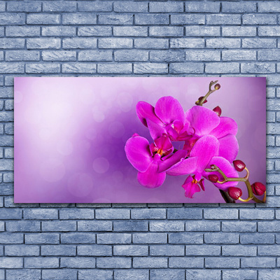 Obraz na skle Květiny Plátky Orchidej