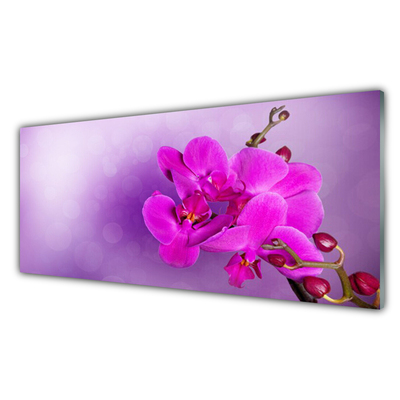 Obraz na skle Květiny Plátky Orchidej