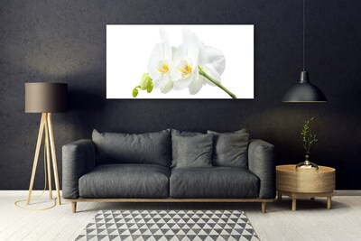Obraz na skle Plátky Květ Bíla Orchidej
