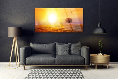 Obraz na skle Západ Slunce Louka Plátky