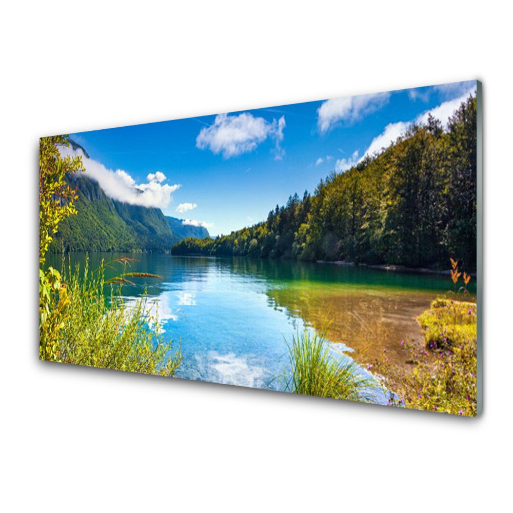 Obraz na skle Hory Les Příroda Jezero