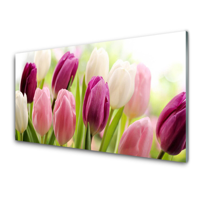 Obraz na skle Tulipány Květiny Příroda Louka