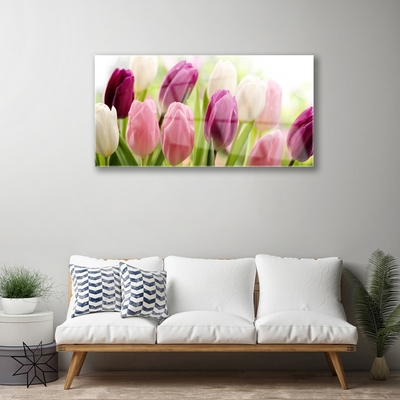 Obraz na skle Tulipány Květiny Příroda Louka