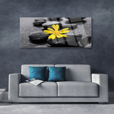 Obraz na skle Květ Kameny Rostlina Lázně