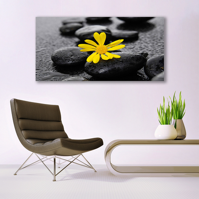 Obraz na skle Květ Kameny Rostlina Lázně