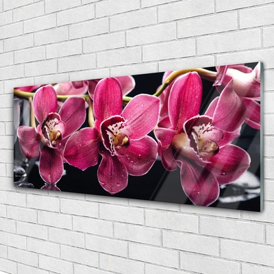 Obraz na skle Květiny Orchideje Výhonky Příroda