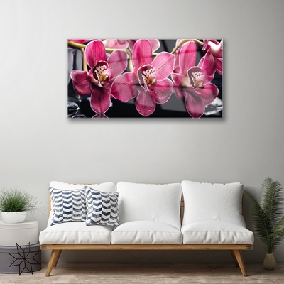 Obraz na skle Květiny Orchideje Výhonky Příroda
