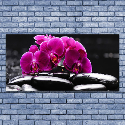 Obraz na skle Kameny Zen Orchidej Lázně