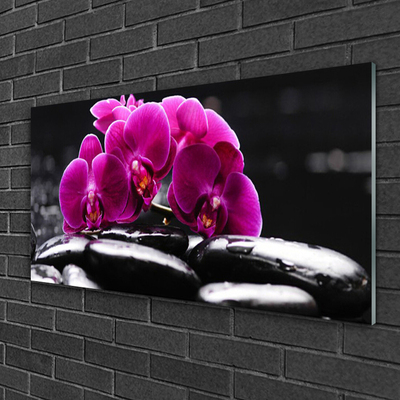 Obraz na skle Kameny Zen Orchidej Lázně