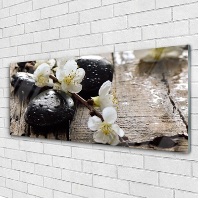 Obraz na skle Květiny Kameny Zen