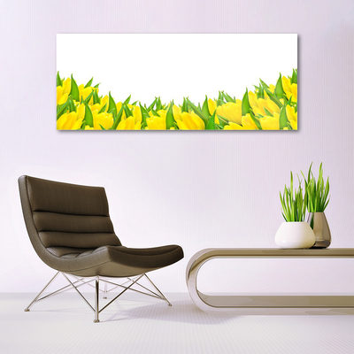 Obraz na skle Květiny Příroda Tulipány
