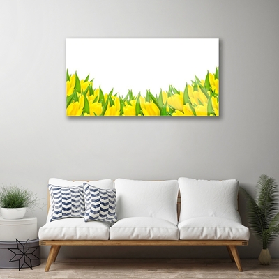Obraz na skle Květiny Příroda Tulipány