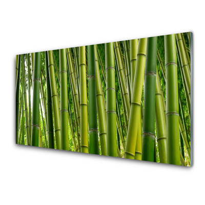Obraz na skle Bambusový Les Bambusové Výhonky