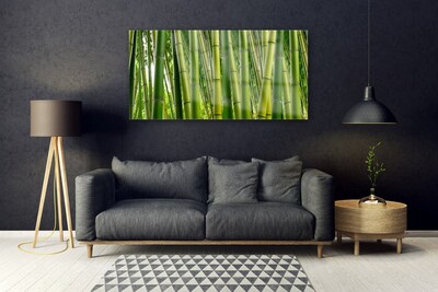Obraz na skle Bambusový Les Bambusové Výhonky