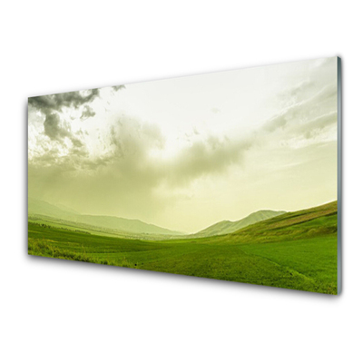 Obraz na skle Louka Příroda Zelený Výhled