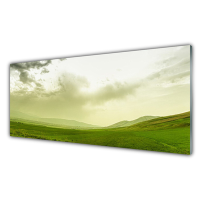 Obraz na skle Louka Příroda Zelený Výhled
