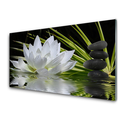Obraz na skle Květiny Kameny Zen Voda